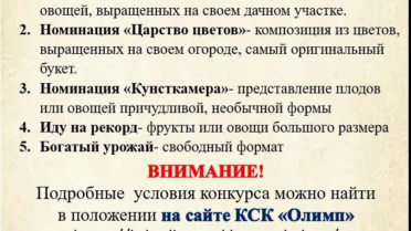 Фотоконкурс «Осеннее изобилие»